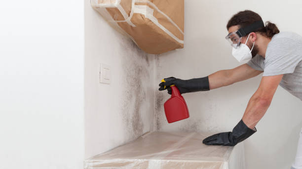 Professional Bathroom Mold Removal technician working in Elizabeth, CO